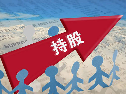 股权债权 (1)