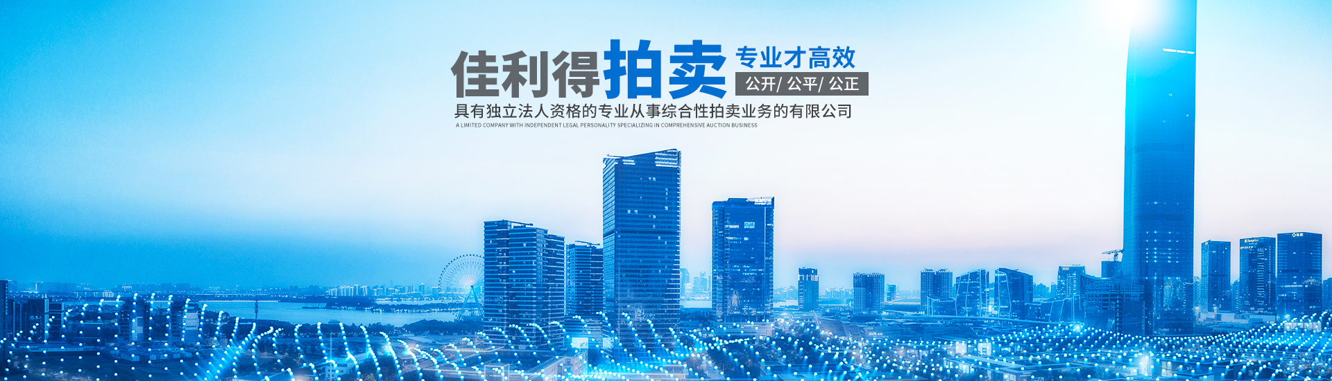 湖南佳利得拍卖有限公司_衡阳综合性拍卖业务
