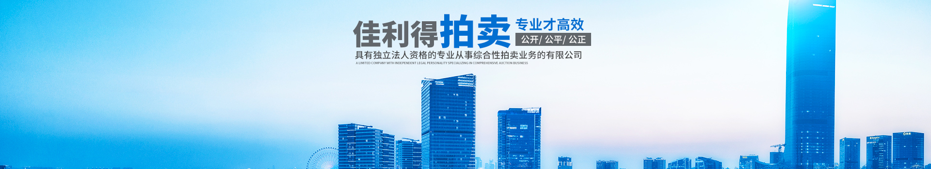 湖南佳利得拍卖有限公司_衡阳综合性拍卖业务