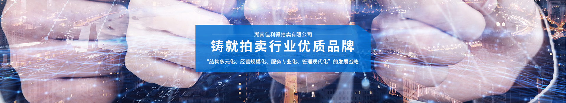 湖南佳利得拍卖有限公司_衡阳综合性拍卖业务